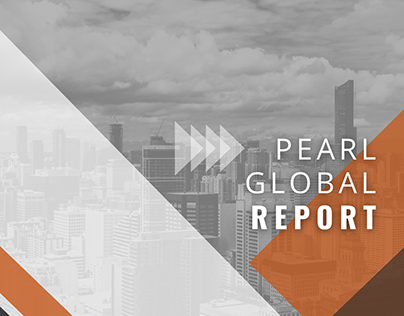 Pearl Global Industries ltd: Summer internship report