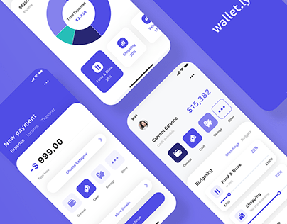 Budgeting and payment app UI/UX