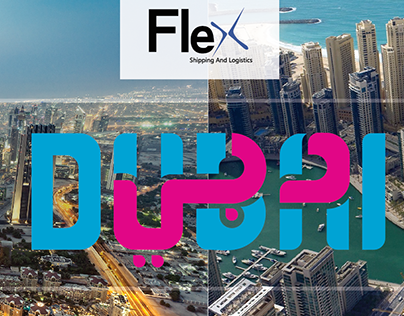 Flex Company Profile