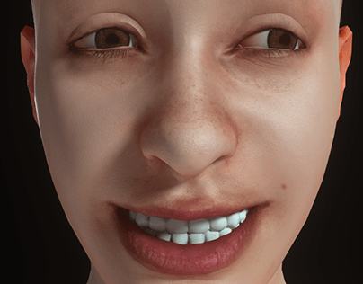 Face Rig and Skin Material