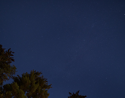 Milky Way, Meteor & Pines