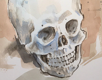 In-class Skull Studies