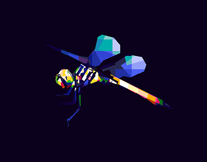 Dragonfly in wpap
