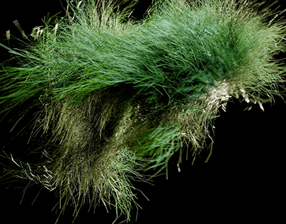 L-System Grass