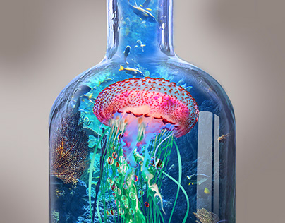 Jellyfish In a Bottle