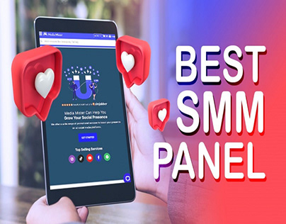 The Role and Impact of SMM Panels