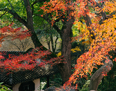 China Suzhou Gardens-苏州园林