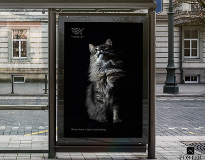 Humane Society - Photography Advertisement