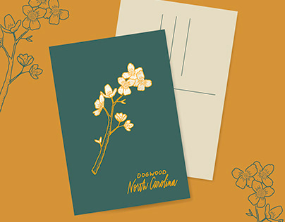 State Floral Postcards | North Carolina - Dogwood