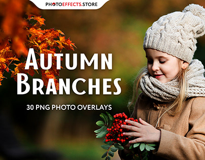 30 Autumn Branch Photo Overlays