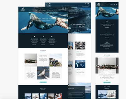 Website Design - Australian Whale Conservation Society
