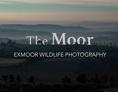 The Moor - A photography project