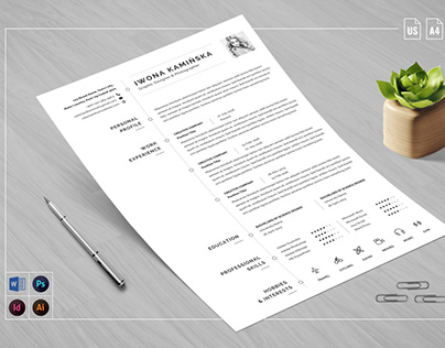 Clean Resume & Icons