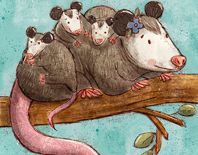 Opossum and their children
