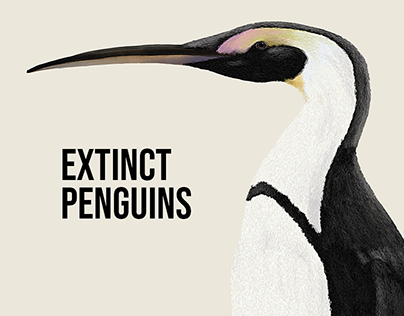 Extinct Penguins