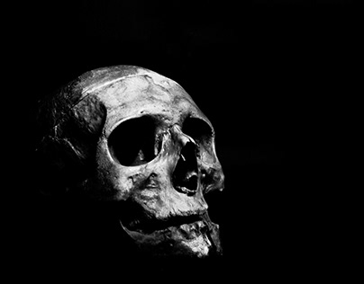 Photography of human skull