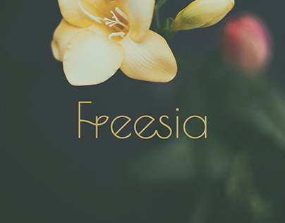 Freesia Logo