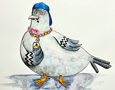 Book Illustration: Hard Ticket Pigeon