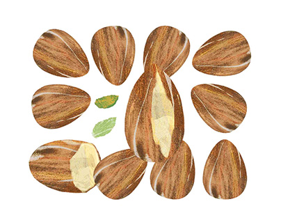 Assemble fruity - Almond