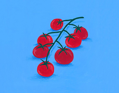 Project thumbnail - Tomatoes - Personal Food Illustration