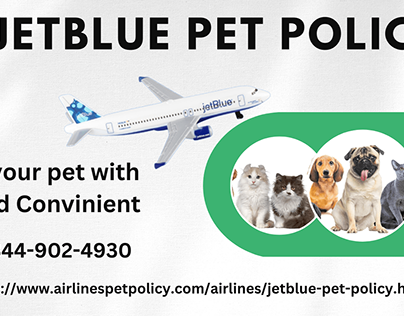 Jetblue Pet Policy