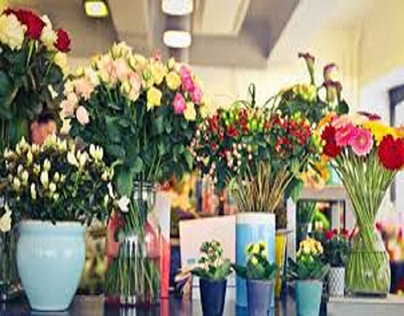 Bloomex Reviews Best Times & Ways to Give Flowers Gifts