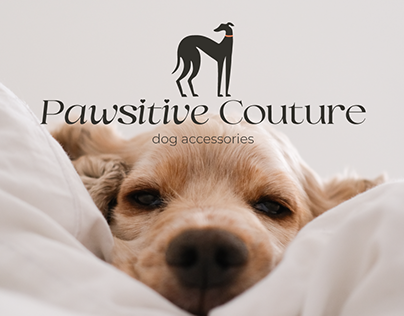 Brand Identity | Pawsitive Couture - dog accessories
