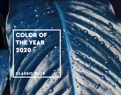 Project : pantone color of the year 2020 | classic blue