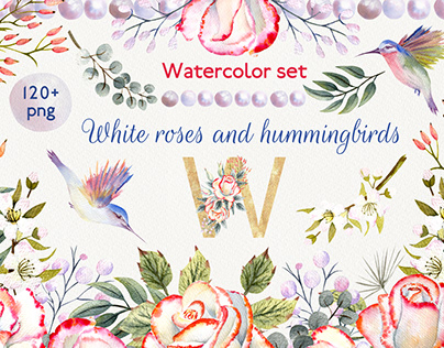 Watercolor set roses and hummingbird