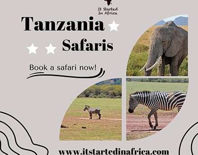 TANZANIA WAS VOTED THE BEST COUNTRY FOR AFRICAN SAFARIS