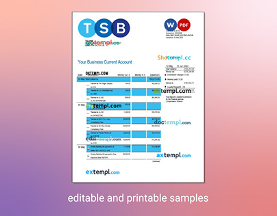 TSB Bank firm account statement Word and PDF