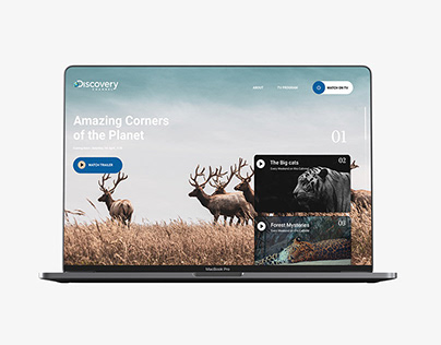 Discovery Channel Redesign