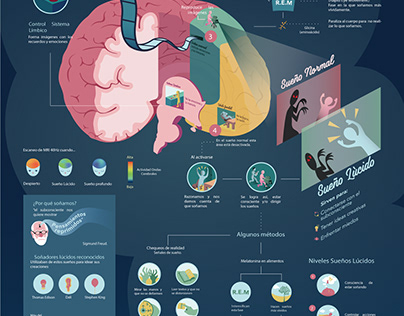 Lucid Dreams infography