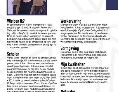 CV Ingmar Broerse
