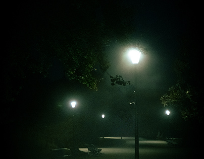 Night walk in a park 🌿