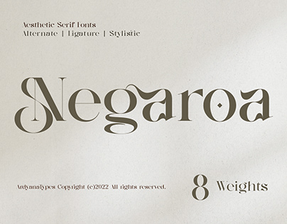 Negaroa - Aesthetic Serif