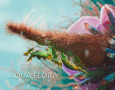 Aqua Flora