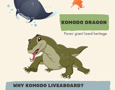 Komodo Projects | Photos, videos, logos, illustrations and branding on  Behance