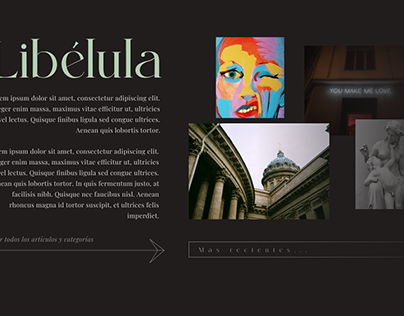 Libelula Gallery Design