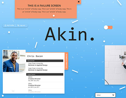 Akin Website Design