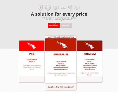 CROWDSTRIKE Product & Services Redesign Wireframes