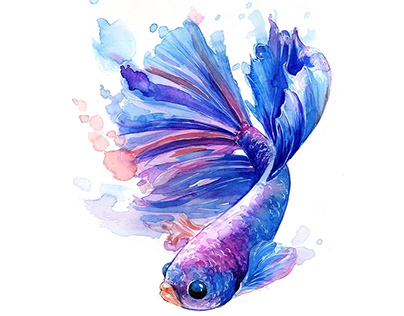 Aquarium watercolor
