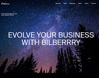 Bilberry Landing Page