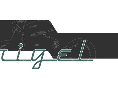 Rigel: A motorcycle project