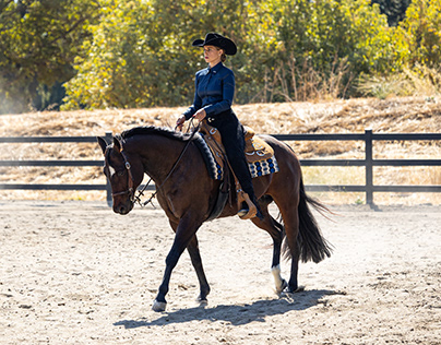 2023-24 UC Davis Equestrian