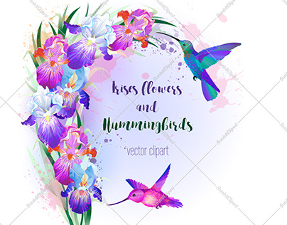 Vector print with irises flowers garland & hummingbirds