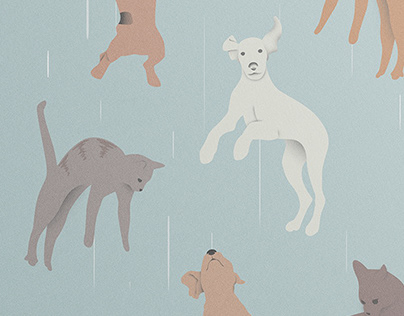 Raining Cats and Dogs - Idioms