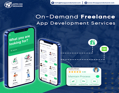 Project thumbnail - Freelancer marketplace app Like Upwork & Fiverr