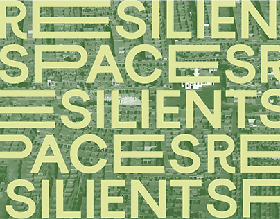 Resilient Spaces