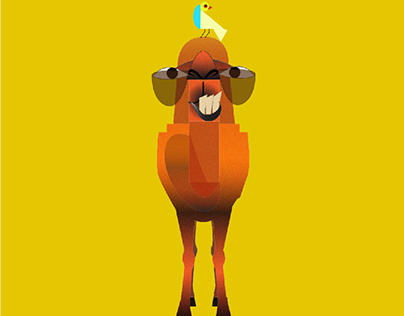 Camel illustration